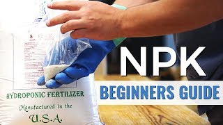 A Beginners Guide NPK in Hydroponics [upl. by Etteloc]