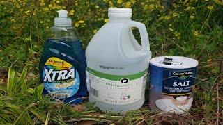 Natural Homemade Weed Killer Recipe Tested by Lawn Care Pro [upl. by Primaveras]