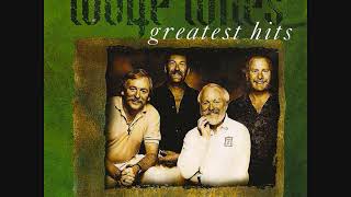 The Wolfe Tones  Greatest Hits  Full Album irishrebelmusic [upl. by Adnot]