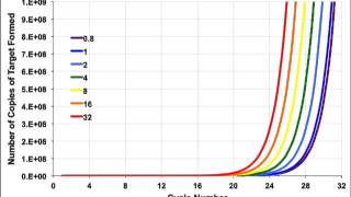 Quantitative PCR explanation [upl. by Witkin]