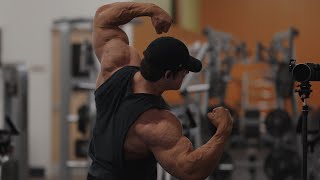 IFBB Pro Arm Workout [upl. by Nichy]