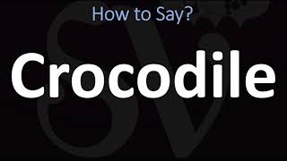 How to Pronounce Crocodile CORRECTLY [upl. by Ivy]