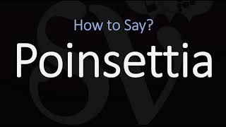 How to Pronounce Poinsettia CORRECTLY [upl. by Yengac242]