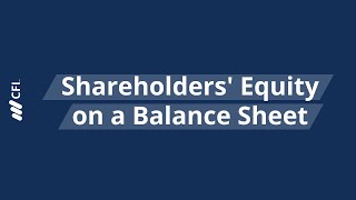 Shareholders Equity on a Balance Sheet Explained [upl. by Rosenstein]