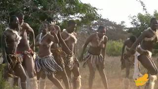 ZuidAfrika Zulu Dans Hluhluwe 13 [upl. by Merton]