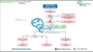 INSUFICIENCIA CARDIACA AGUDA [upl. by Shaine442]