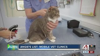 Angies List Mobile vet clinics [upl. by Adierf]