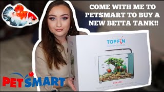 BUYING A NEW BETTA FISH TANK AT PETSMART VLOG  ItsAnnaLouise [upl. by Englis435]