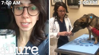 A Veterinarians Entire Routine from Waking Up to Treating Pets  Allure [upl. by Bobby789]