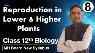 Reproduction in Lower and Higher Plants Class 12th Part 8 [upl. by Leiser]