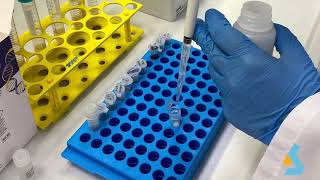 02  DNA Isolation from bacterial culture [upl. by Nollek]