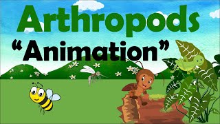 ARTHROPODS  Biology Animation [upl. by Aneetsirk908]