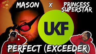 Mason X Princess Superstar  Exceeder Perfect 1991 Remix [upl. by Aniled139]