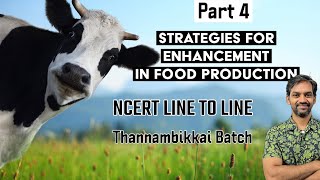 Strategies for enhancement in Food Production  Part 4  NCERT LINE TO LINE  Thannambikkai Batch [upl. by Fabri919]