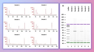 Forensic DNA Profiling Part I [upl. by Nniroc]