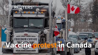 Canadian truckers protest COVID19 vaccine mandate [upl. by Brunk567]