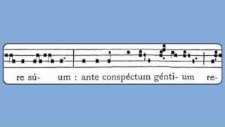 Viderunt Omnes Christmas Gradual [upl. by Nylorahs952]