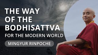 The Way of the Bodhisattva with Yongey Mingyur Rinpoche [upl. by Sadick]