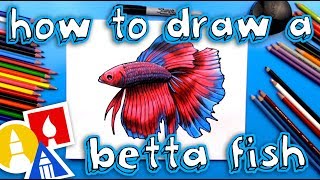 How To Draw A Realistic Betta Fish Siamese Fighting Fish [upl. by Arahsit]