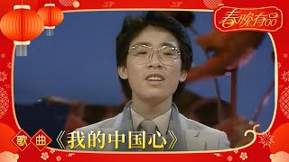 歌曲《我的中国心》 张明敏【1984年央视春晚】丨订阅CCTV春晚 [upl. by Yrahk]