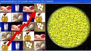 CBSE Class 12 Biology  Strategies for Enhancement In Food Production  Full Chapter  By Shiksha [upl. by Esyle789]