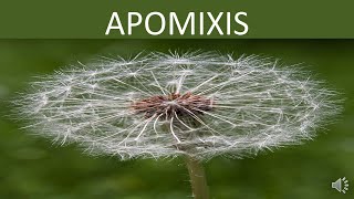 APOMIXIS [upl. by Idell]