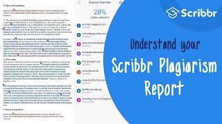 The Scribbr Plagiarism Report Explained  Scribbr 🎓 [upl. by Bounds]