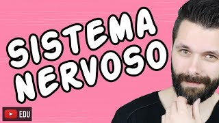 SISTEMA NERVOSO  FISIOLOGIA  Aula  Biologia com Samuel Cunha [upl. by Ainaj855]