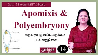 Apomixis and Polyembryony  Tamil [upl. by Wylde]