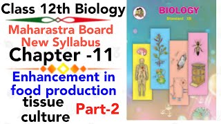 part2 ch11 Enhancement in food production class 12 biology HSC board new syllabus tissue culture [upl. by Coppock]