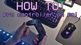 How To PROPERLY Setup The Nintendo Switch Pro Controller on PC [upl. by Eriuqs]