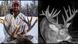 Saskatchewan Whitetail Hunt [upl. by Leeland255]