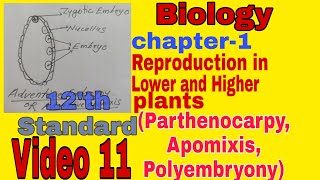 Apomixis  Parthenocarpy  Polyembryony  Chapter 1 Biology  HSC  class 12  video 11 [upl. by Enaujed613]