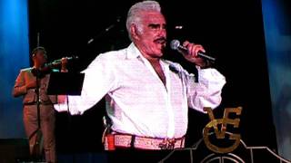 Vicente Fernandez  El Rey [upl. by Adan]