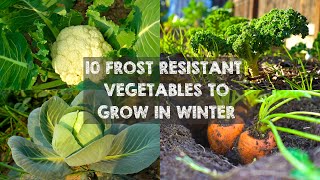 10 Frost Resistant Vegetables to Grow in Winter [upl. by Labina]