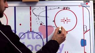 Ice Hockey Drill Pelican Net Drive [upl. by Mazonson]