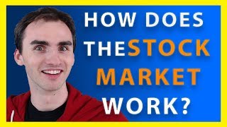 How Does The Stock Market Work  Stock Market Basics [upl. by Rolf]