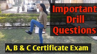 NCC A B amp C Certificate Exam  Frequently Asked Questions from Drill  Important [upl. by Yonah]