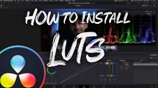 How to Install LUTS in Davinci Resolve [upl. by Sagerman962]