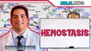 Hematology  Hemostasis Coagulation Cascade [upl. by Ardnuhsed]