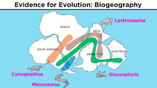 The Evolution of Populations Natural Selection Genetic Drift and Gene Flow [upl. by Delcine179]