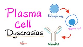 Multiple Myeloma Waldenström macroglobulinemia MGUS MGRS  Plasma Cell Dyscrasias  Introduction [upl. by Yolane950]