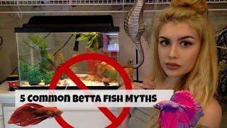 5 Things Youve Heard about Betta Fish That ARENT True [upl. by Airret]