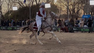 Moto Mindscape meets Tent Pegging Festival in F9 Park [upl. by Vezza292]