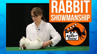 4H Rabbit Showmanship Tutorial [upl. by Kciregor956]