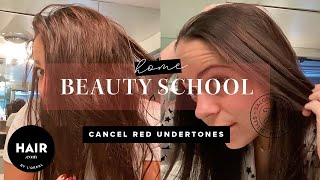 How To Cancel Red Undertones  Beauty Home School  Haircom By LOreal [upl. by Asined13]