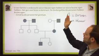 Biologie van Tim  Stambomen [upl. by Sitarski]