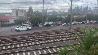 XTrapolis Train On The Craigieburn Line [upl. by Holtz]