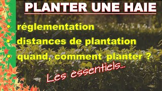 PLANTER UNE HAIE  Réglementation distances quand comment [upl. by Weiner438]