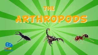 The Arthropods  Educational Video for Kids [upl. by Ahsinav145]